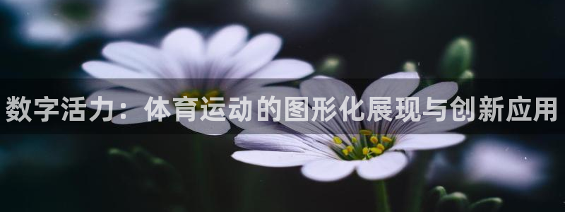 MK体育官网下载联系电话：数字活力：体育运动的图形化展现与创