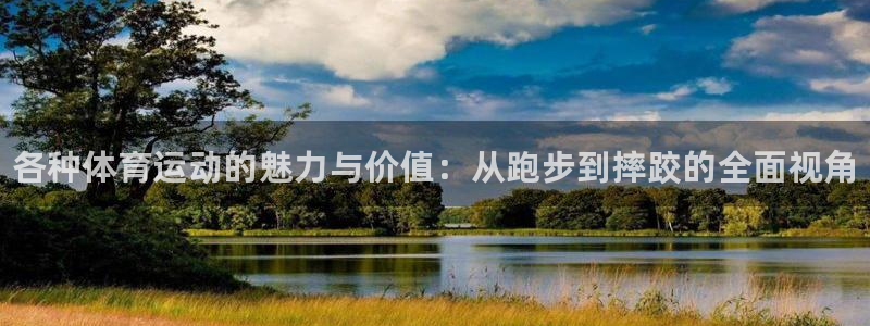 MK体育官方正版app娱乐网站：各种体育运动的魅力与价值：从