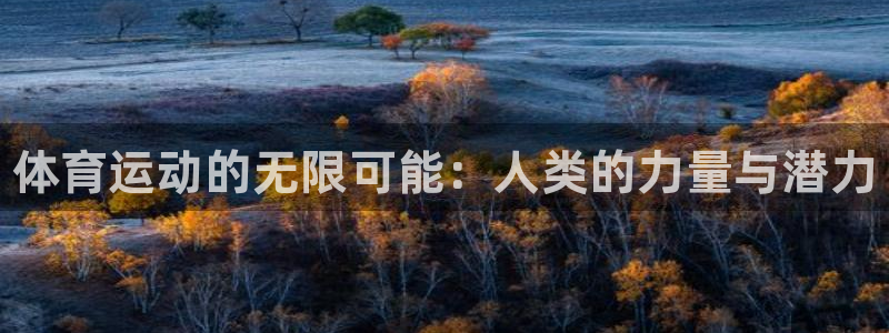 MK体育官网下载开户：体育运动的无限可能：人类的力量