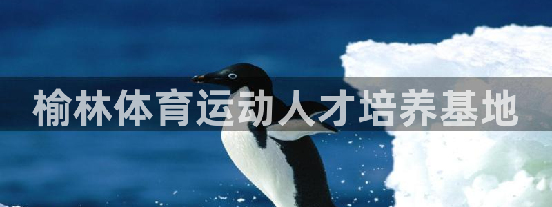 海南MK体育官网下载：榆林体育运动人才培养基地