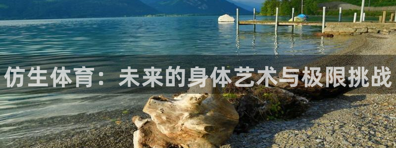 MK体育官方正版app集团：仿生体育：未来的身体艺术