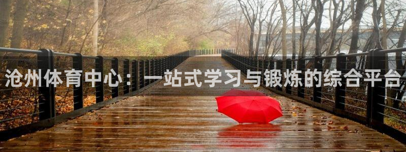 MK体育官网下载：沧州体育中心：一站式学习与锻炼的综