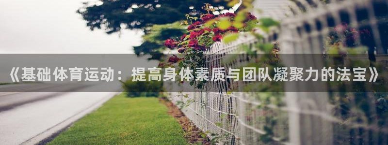 MK体育官方正版app集团官网网址：《基础体育运动：
