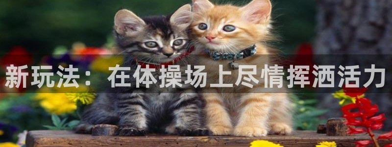 MK体育官方正版app娱乐网站：新玩法：在体操场上尽情挥洒活