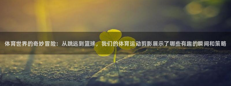 MK体育官网下载招商电话地址是多少：体育世界的奇妙冒险：从跳