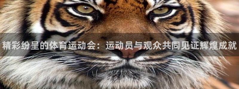 MK体育官方正版app娱乐网站：精彩纷呈的体育运动会：运动员