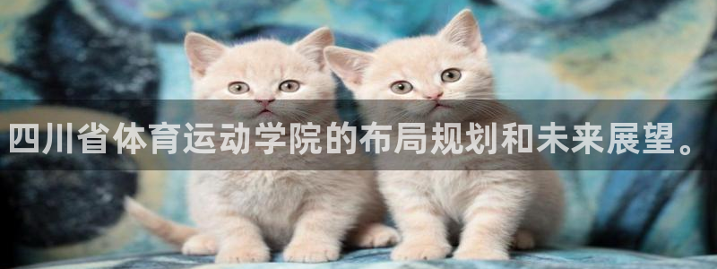 MK体育官网下载平台注册：四川省体育运动学院的布局规