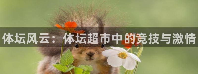 MK体育官网下载平台是正规平台吗知乎：体坛风云：体坛超市中的