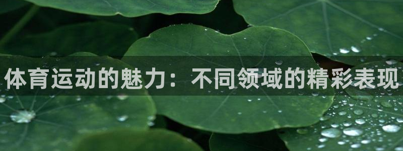 MK体育官网下载平台是正规平台吗：体育运动的魅力：不同领域的