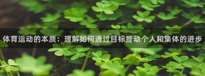 MK体育官网下载招商电话是多少：体育运动的本质：理解如何通过