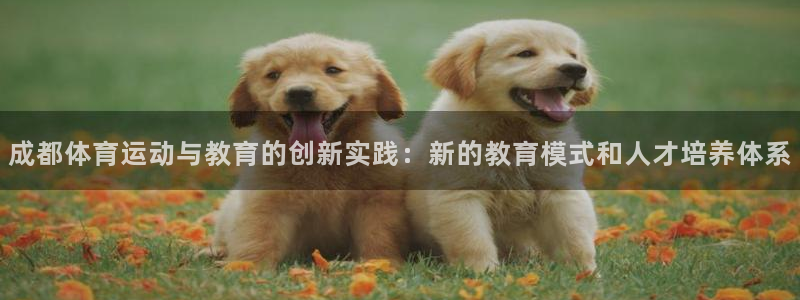 MK体育官网下载平台注册流程图：成都体育运动与教育的创新实践