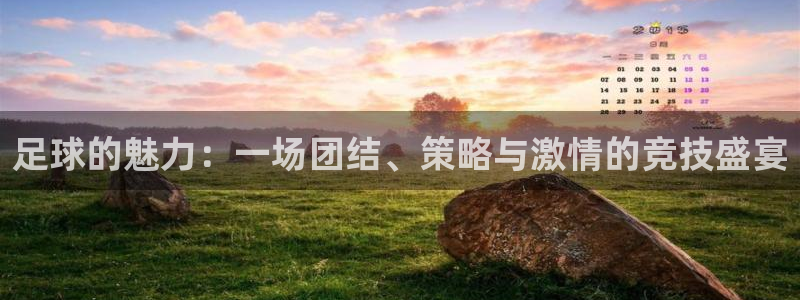 MK体育官网下载软件：足球的魅力：一场团结、策略与激