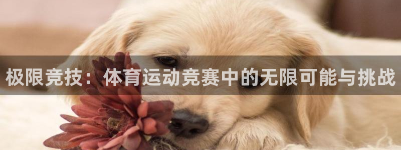 MK体育官网下载招商电话号码查询是多少：极限竞技：体