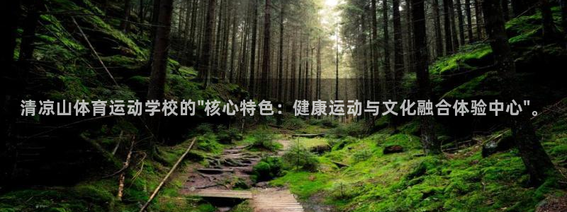 MK体育官方正版app集团简介：清凉山体育运动学校的