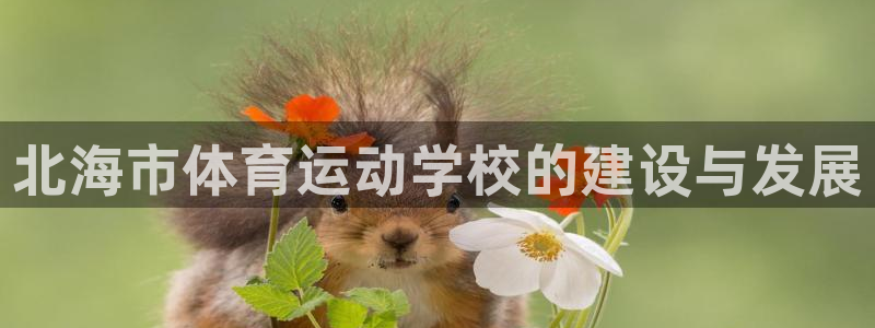 MK体育官方正版app代理：北海市体育运动学校的建设