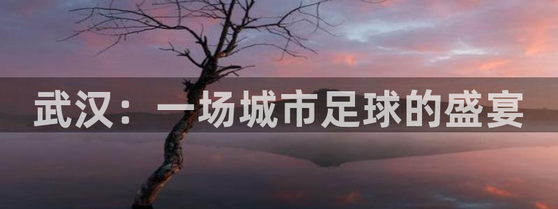 MK体育官网下载招商：武汉：一场城市足球的盛宴