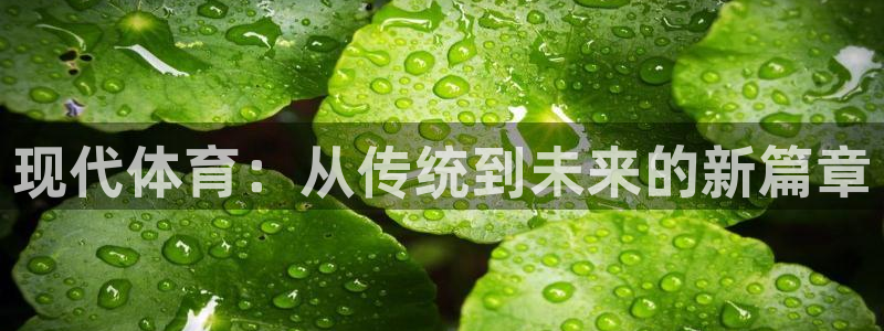 MK体育官网下载招商电话是多少：现代体育：从传统到未