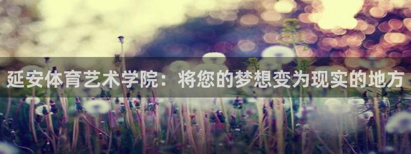 MK体育官网下载平台是正规平台吗：延安体育艺术学院：
