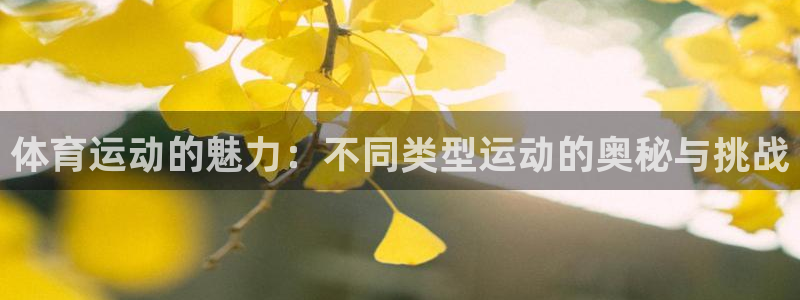 MK体育官网下载平台APP：体育运动的魅力：不同类型