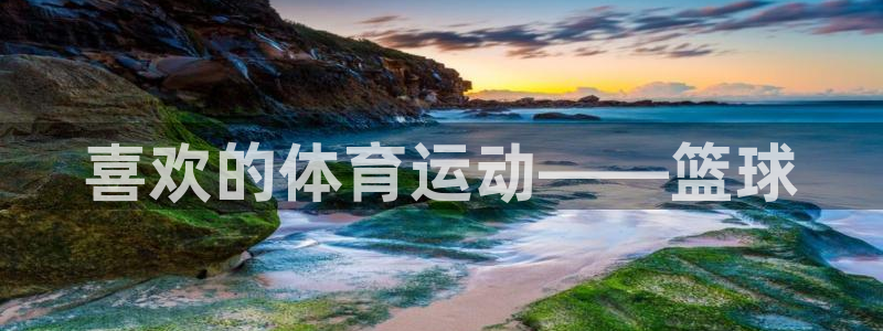 MK体育官方正版app官方：喜欢的体育运动——篮球