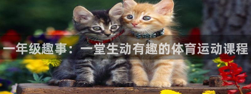 MK体育官方正版app娱乐代理怎么样：一年级趣事：一堂生动有