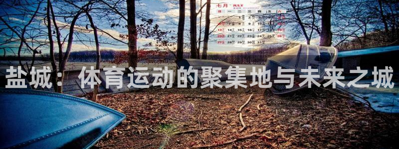 MK体育官网下载招商电话：盐城：体育运动的聚集地与未