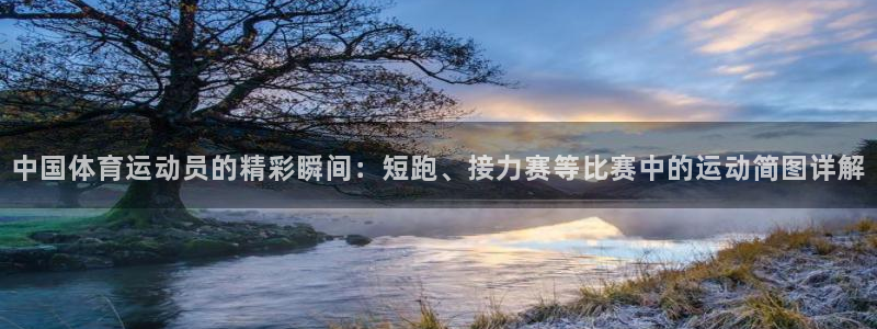 海南MK体育官网下载发展怎么样：中国体育运动员的精彩