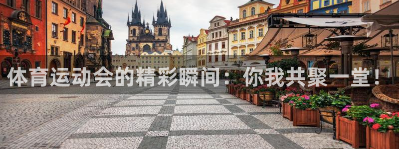 MK体育官网下载联系电话：体育运动会的精彩瞬间：你我共聚一堂