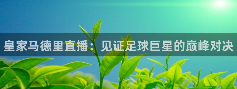 火凤直播体育足球