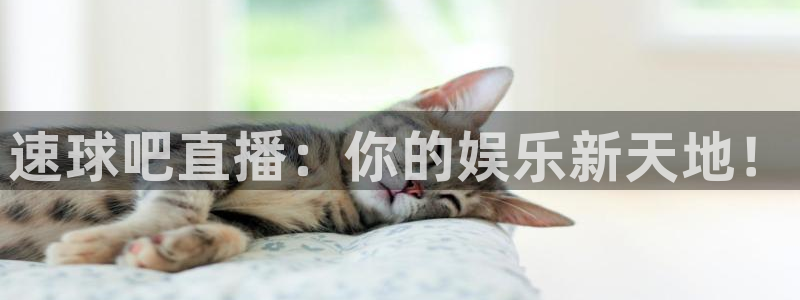火凤直播体育app下载安装：速球吧直播：你的娱乐新天地！