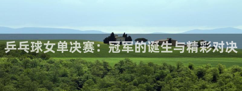 火凤体育直播在线观看高清：乒乓球女单决赛：冠军的诞生与精彩对决